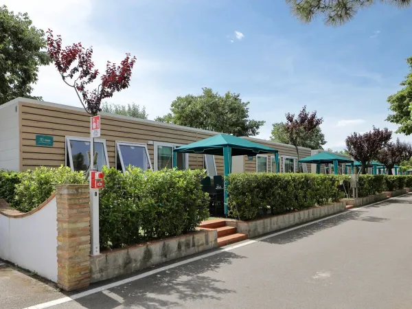 A street with Premium mobile homes at Roan camping Rubicone.