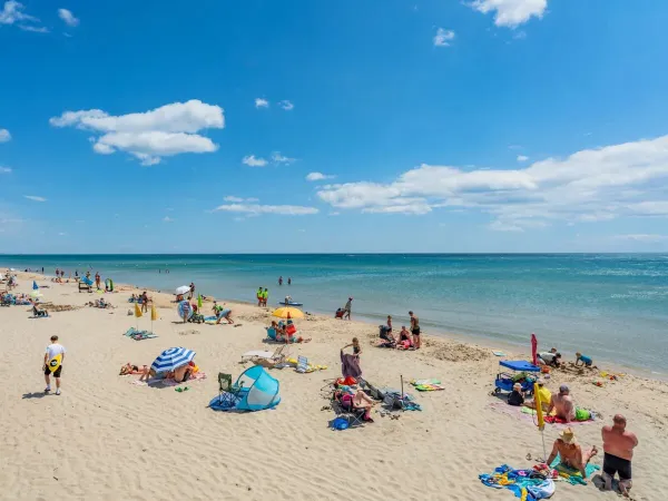 The fine sandy beach at Roan campsite Les Méditerranées Beach Garden.