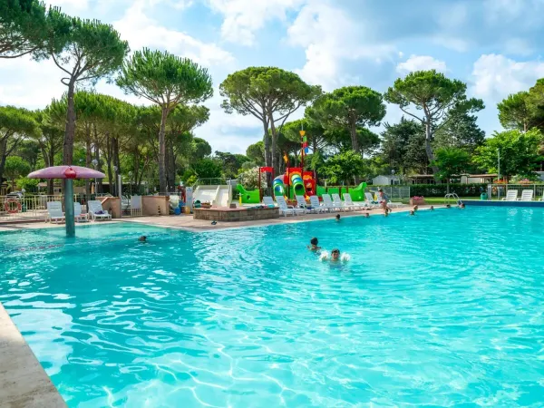 Swimming pool with sunbeds at Roan camping Del Forte.