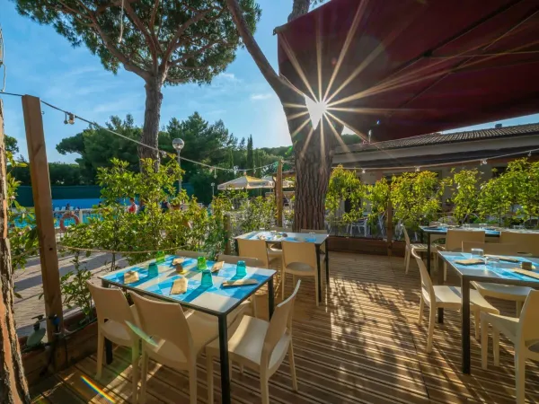 Restaurant at Roan camping Del Forte.