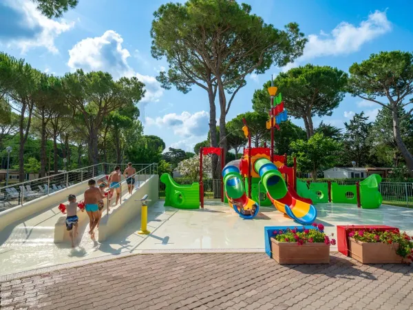 An overview of the swimming pool at Roan camping Del Forte.