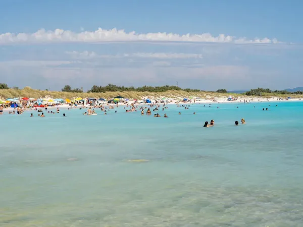 People enjoying in the sea near Roan camping Del Forte.