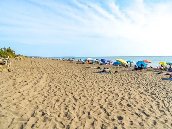 The beach at Roan camping Del Forte.