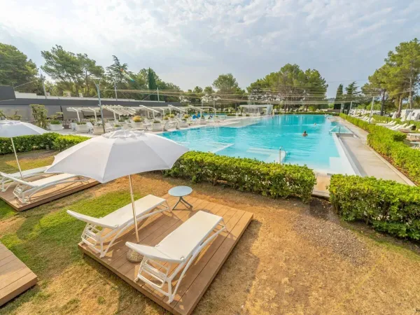 Sunbeds and umbrellas by the lovely pool at Roan camping Valanela.