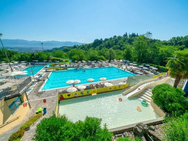 Overview of the swimming pool at Roan camping hu Norcenni Girasole village.