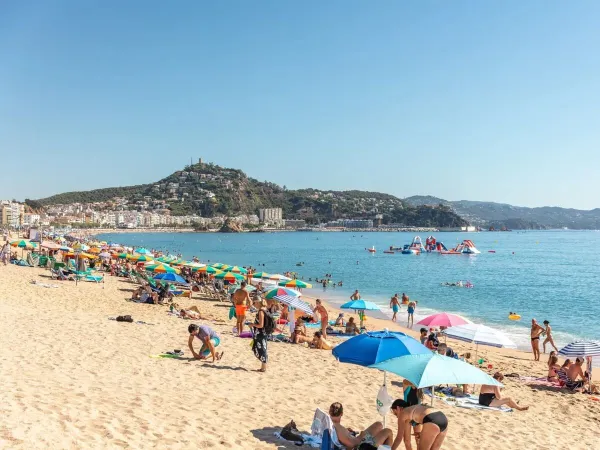 People sunbathe on the sandy beach at Roan Camping El Pinar.