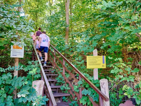 The steps towards the dunes from Roan campsite Marvilla Parks Kaatsheuvel.