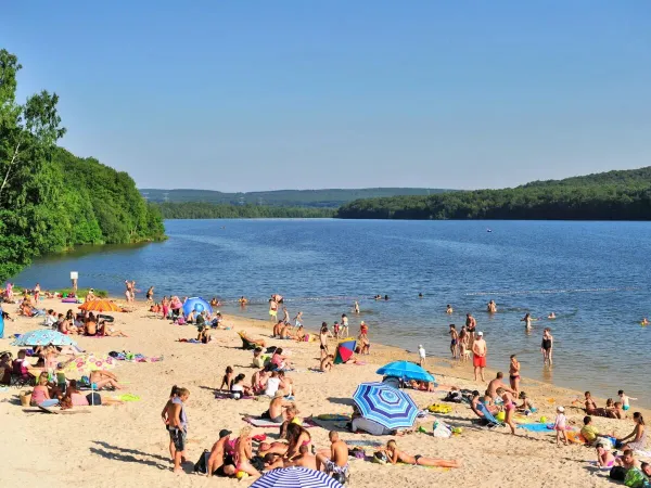 Families sunbathe on the lake beach at Roan campsite Le Lac des Vieilles Forges.