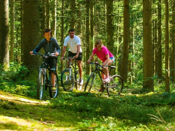 Mountain biking in the beautiful forests of the Ardennes.