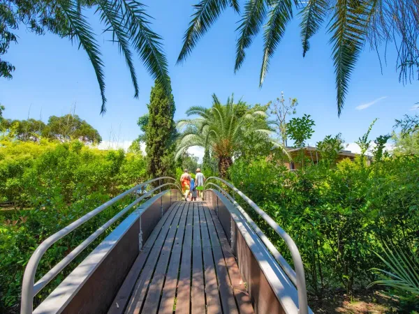 A footbridge with a green garden at Roan campsite Arinella Bianca