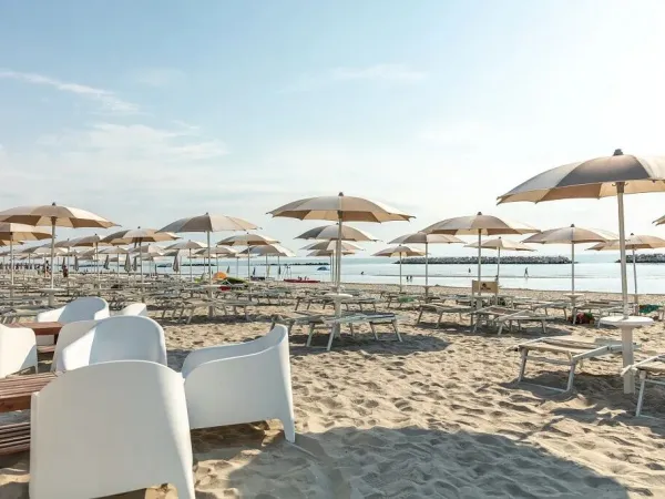 Beach beds and umbrellas on the sandy beach at Vigna sul Mar campsite.