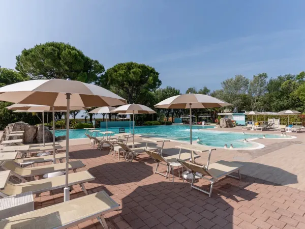 Sunbeds by the pool at Roan campsite Tenuta Primero.