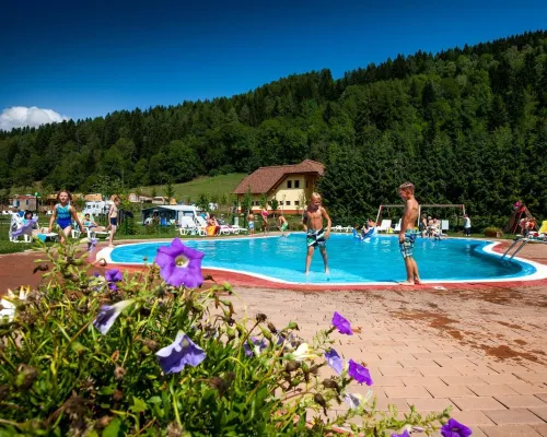 Overview pool of Roan camping Bella Austria.