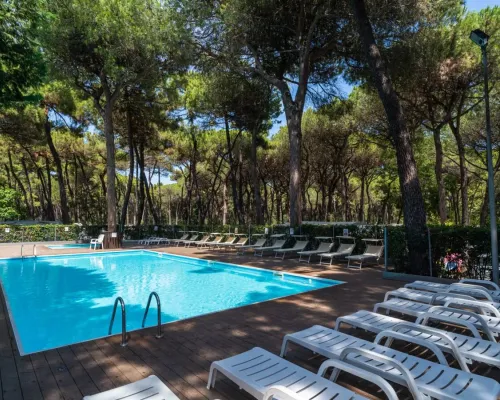 Swimming pool with loungers in the sun and shade among pine trees at Roan camping Sole Family Village.