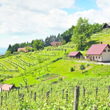 Book your last-minute campsite holiday in Slovenia