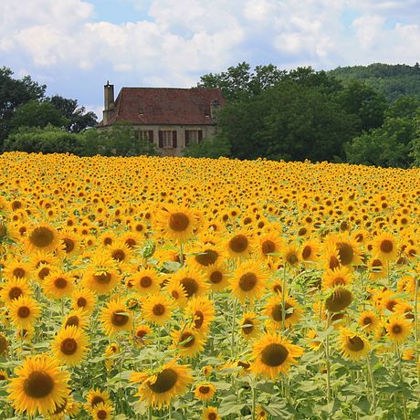 Our campsites in the Dordogne