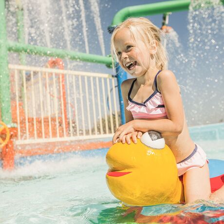 More and more campsites in the Netherlands!