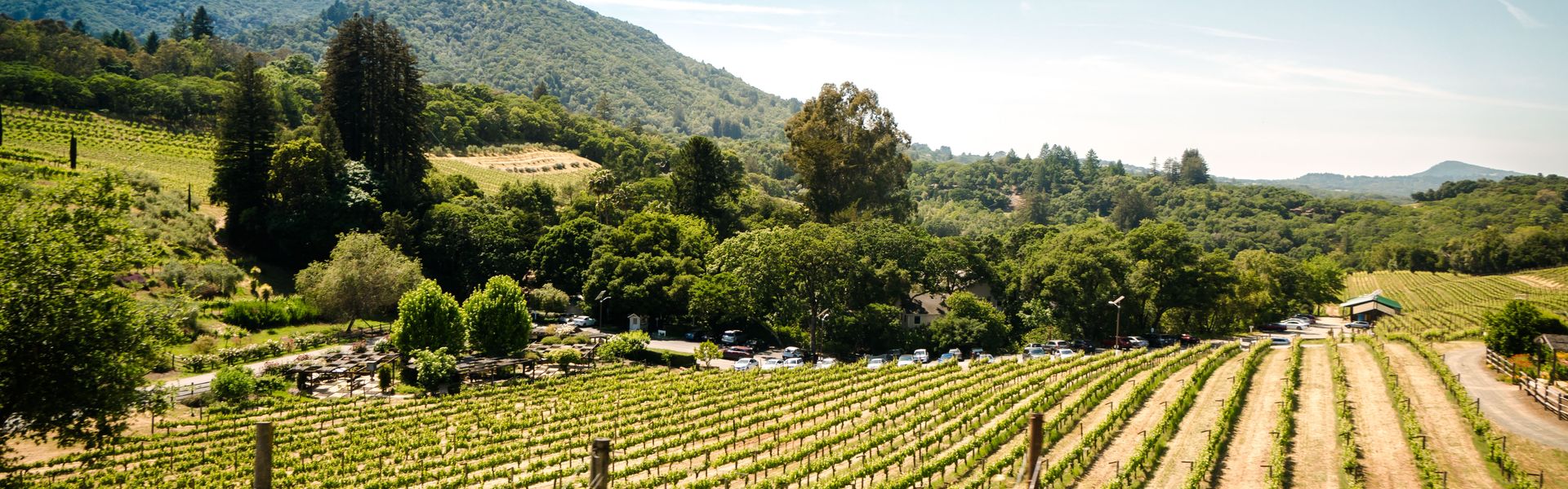 Last-minute camping holidays in the Provence region