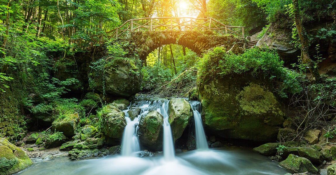 Last-minute deals on campsites on Mullerthal