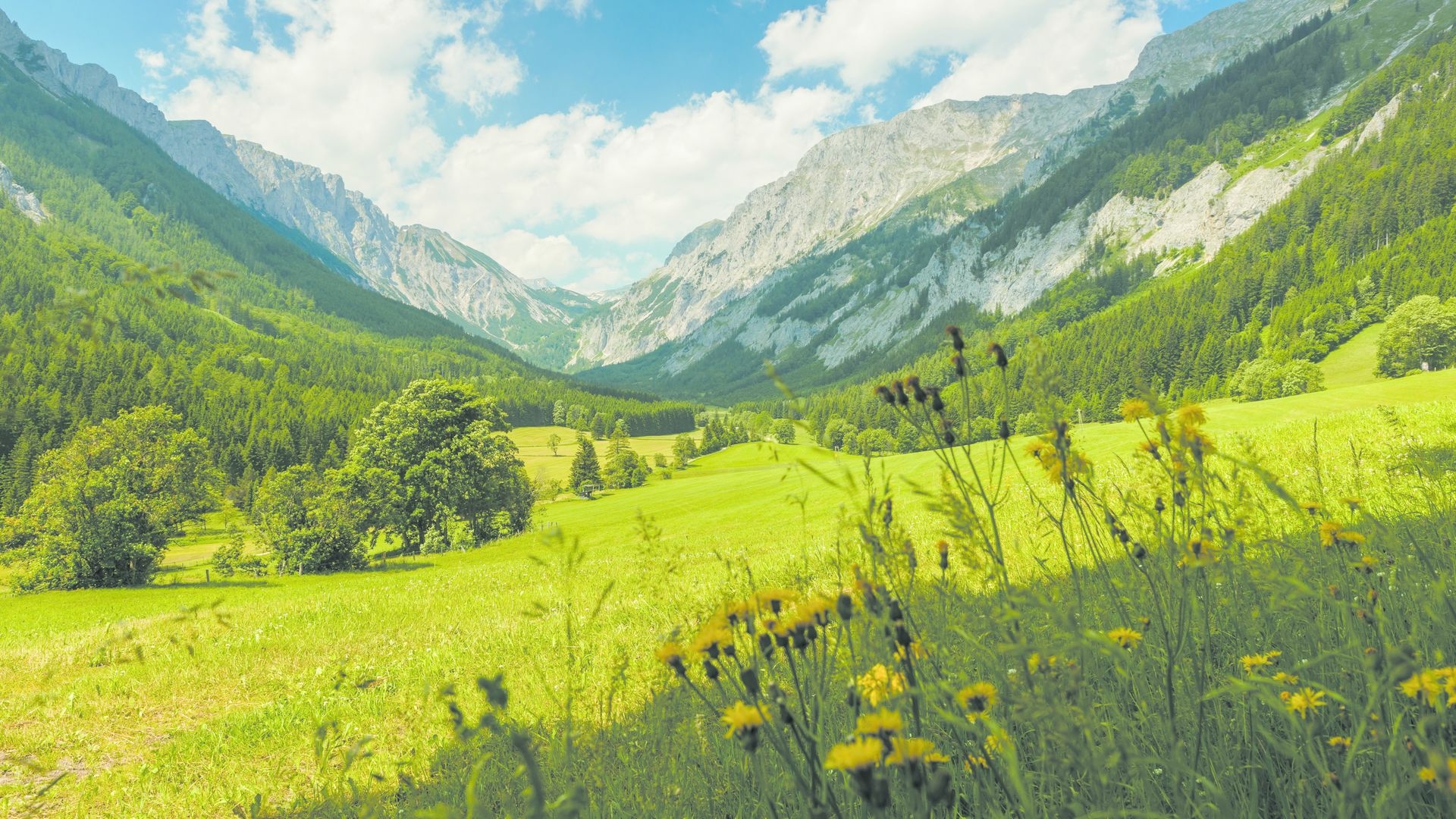 Camping Styria